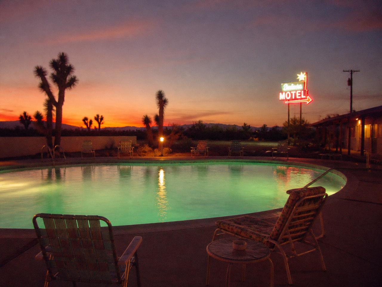 The Kidney Pool